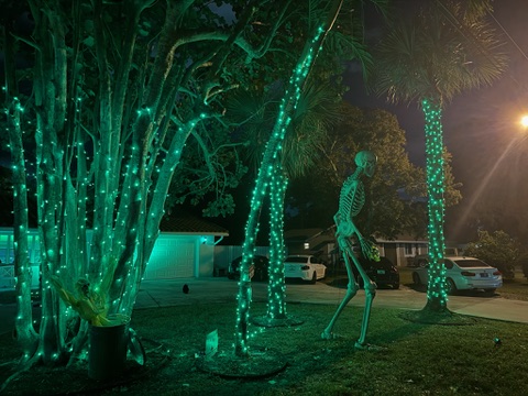 Palm trees wrapped in colorful festive lights, creating a tropical holiday scene.